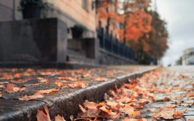 Consejos de Administrador de Fincas en Noviembre