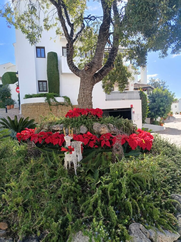 navidad arlau marbella